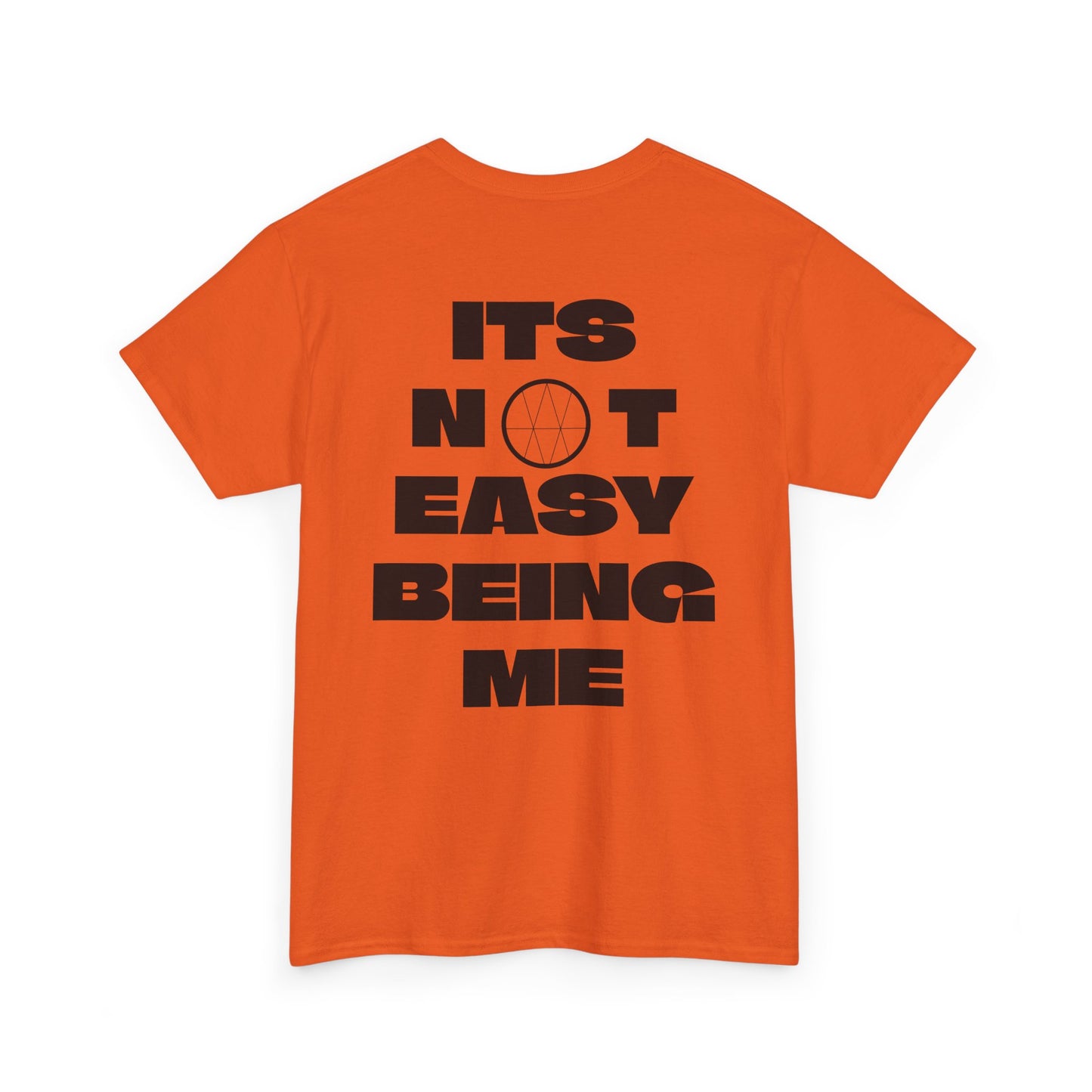 *IT'S NOT EASY BEING ME*